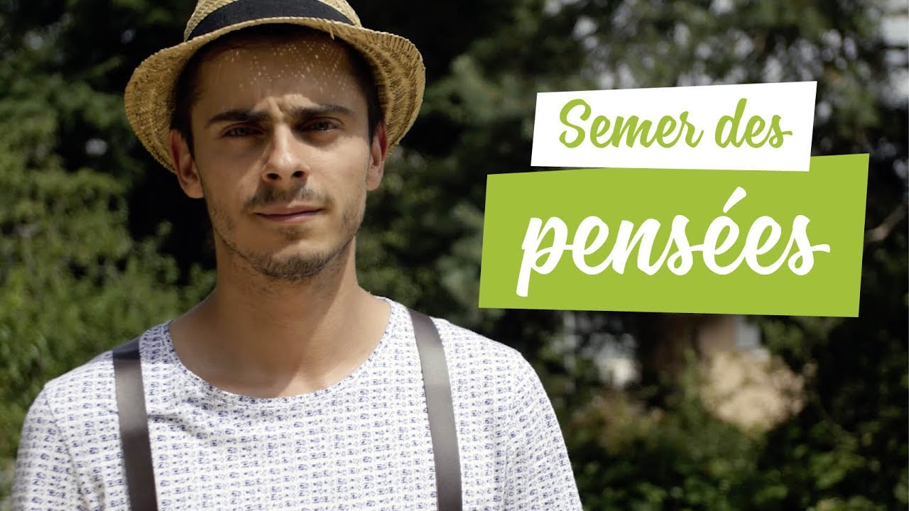 Semer des pensées pour avoir un jardin fleuri au début du printemps