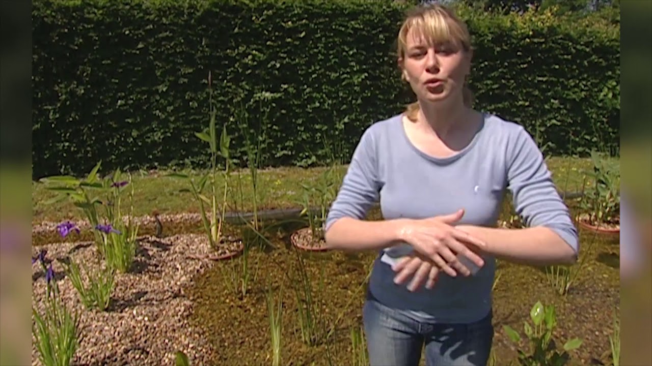 Un bassin autonettoyant