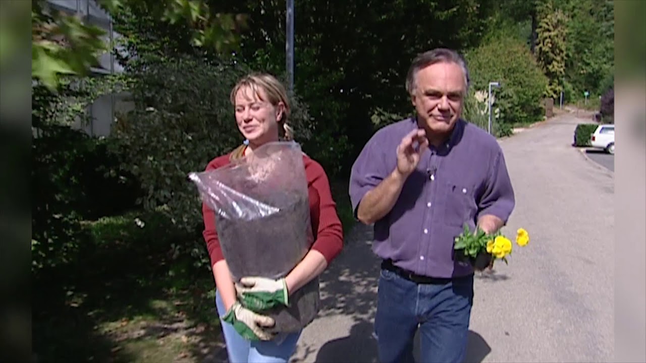Planter des pensées
