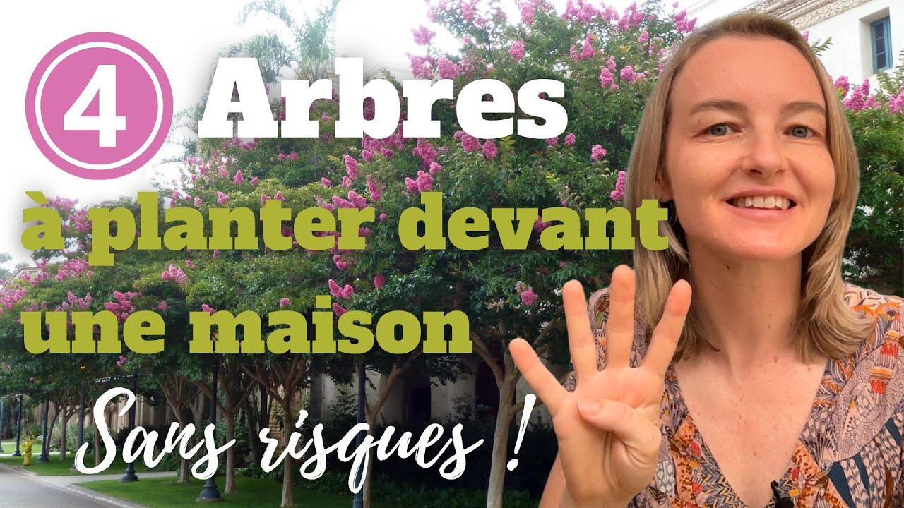4 arbres à planter devant une maison sans risques !