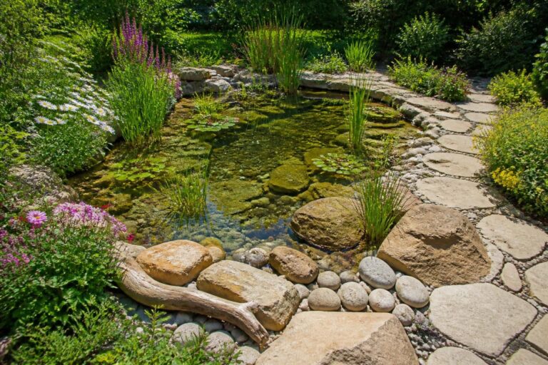 découvrez comment construire et aménager un bassin de jardin pour sublimer votre espace extérieur avec des conseils pratiques et des idées d'aménagement.