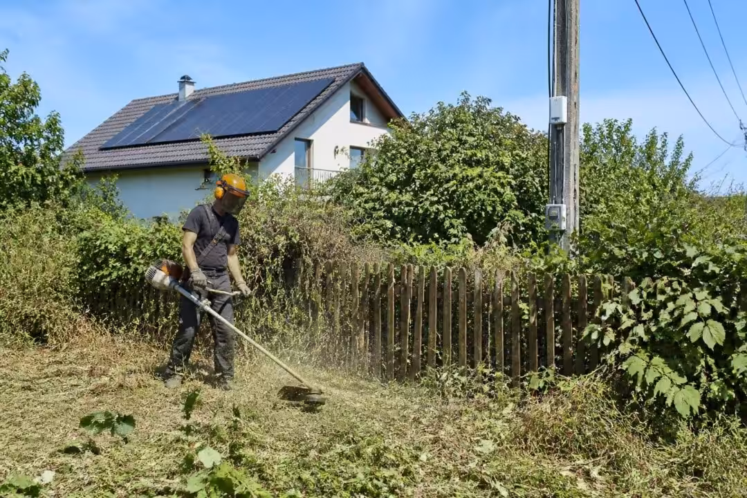 découvrez les obligations de débroussaillement au-delà des 50 mètres de votre propriété et leur impact sur votre facture électrique. informez-vous sur les règles à suivre et comment gérer ces contraintes.