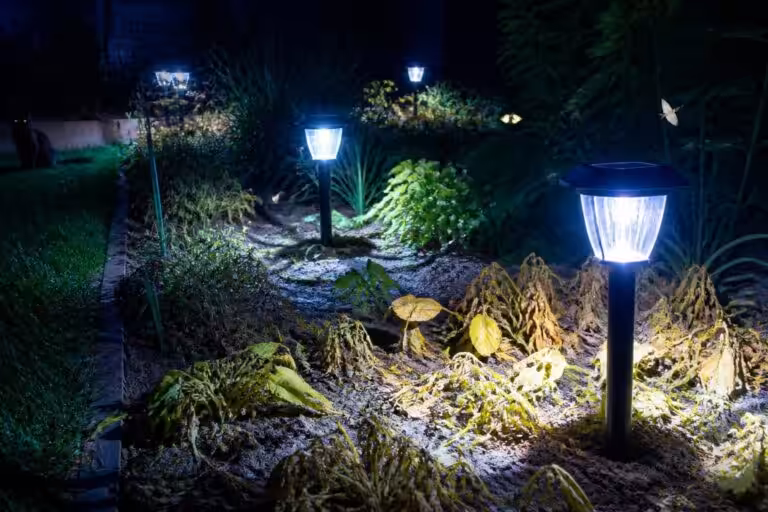 Paysagistes révèlent une vérité méconnue : pourquoi abuser des lampes solaires peut nuire à votre jardin