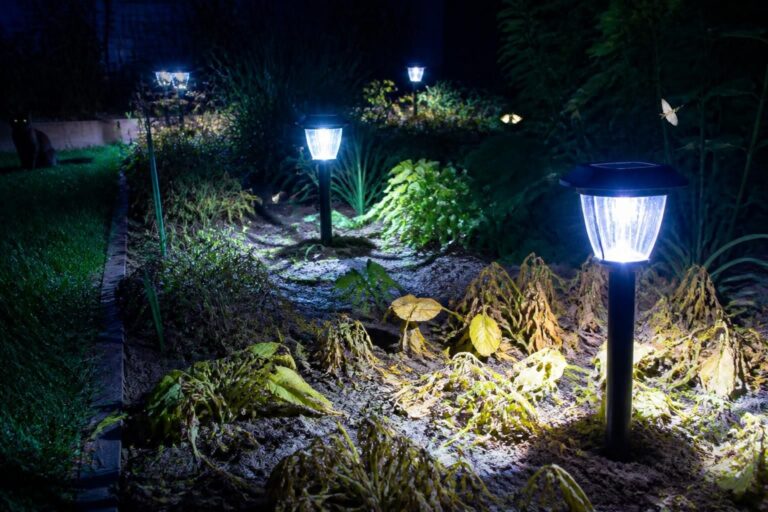 Paysagistes révèlent une vérité méconnue : pourquoi abuser des lampes solaires peut nuire à votre jardin