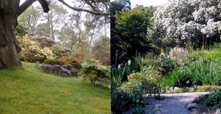 « Jardins extraordinaires » : découvrez sur notre site des havres de nature splendides, insolites et parfois inquiétants