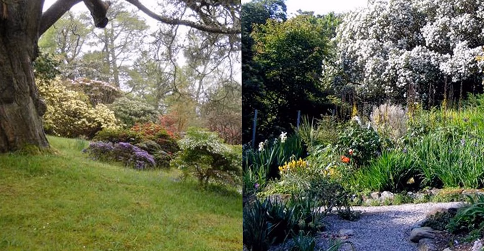 « Jardins extraordinaires » : découvrez sur notre site des havres de nature splendides, insolites et parfois inquiétants