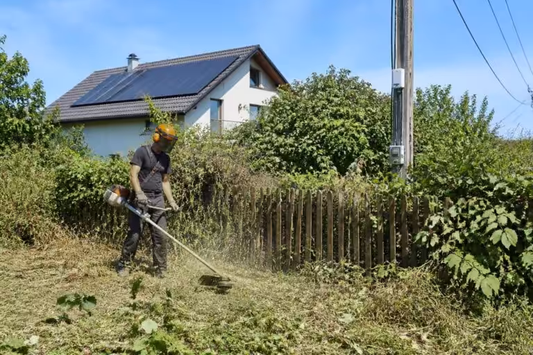 Débroussaillement obligatoire : quand la règle des 50 mètres dépasse vos limites de propriété et impacte votre facture électrique